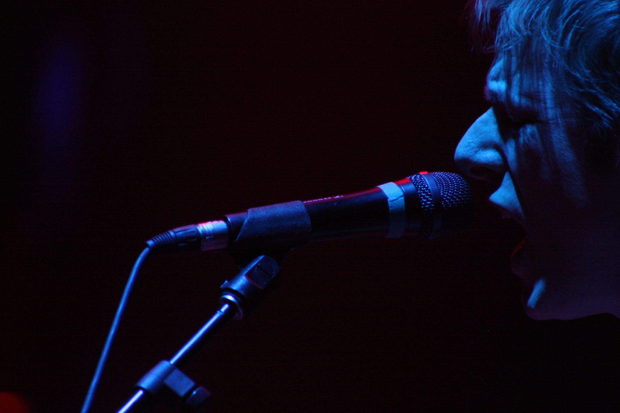 Divine Fits — MoogFest, Asheville, North Carolina (2012). Color photograph by Jeff Pearson.