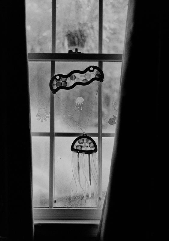 Jellyfish — Home. Black and white photograph by Jeff Pearson.